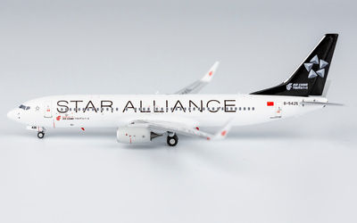 Air China Boeing 737-800 w/ Winglets B-5425 画像1