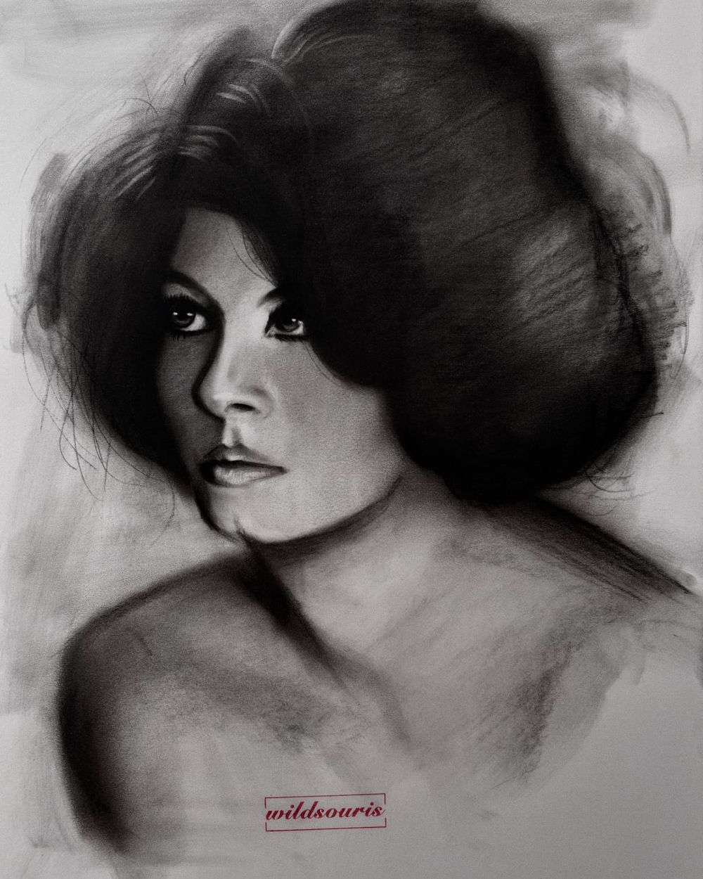 Sophia Loren's portrait