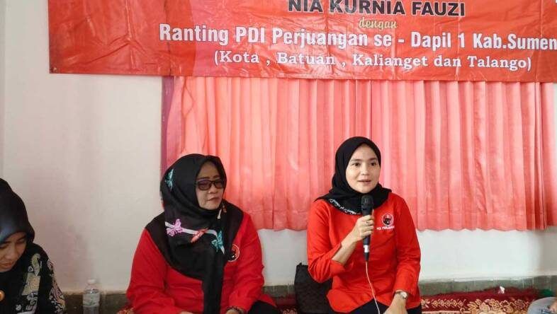 Matriks Potensi Suksesi: Mengukur Peluang Nia Kurnia Fauzi Menuju Takhta Bupati Sumenep