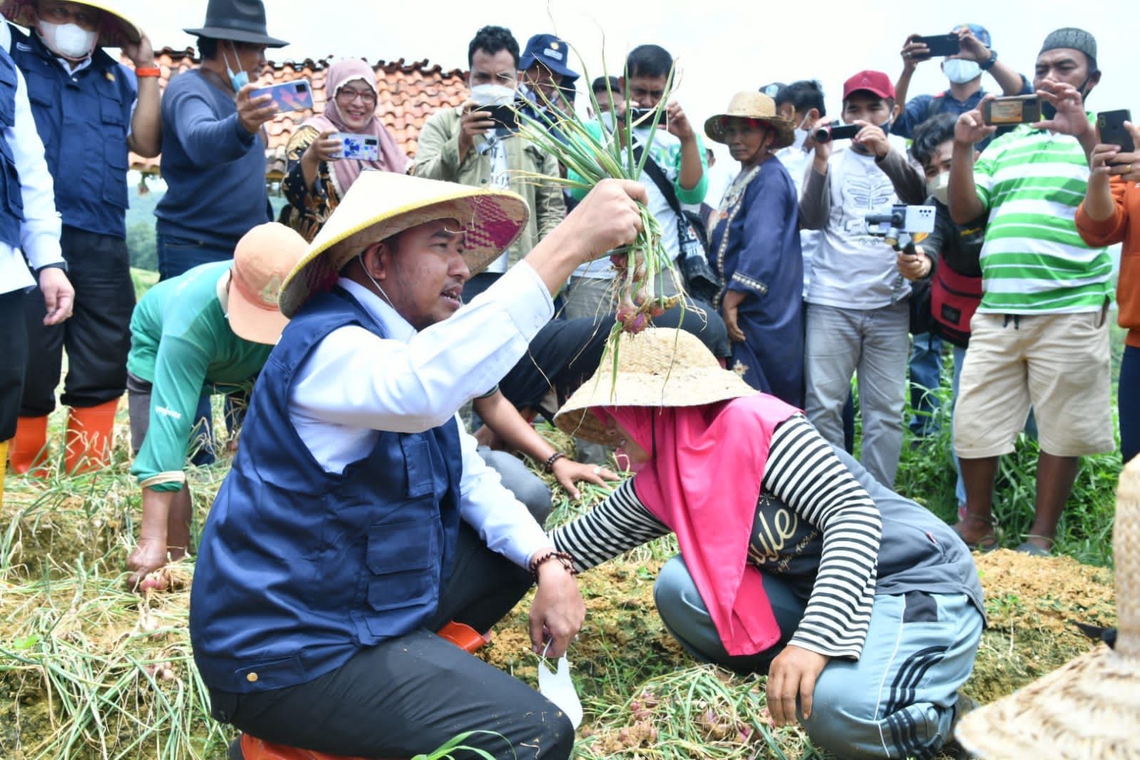 Ancaman Krisis Pangan di Ujung Timur Madura: Akankah Sumenep Kehilangan Sawahnya?