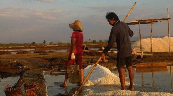 PT Garam Akan Jadi ‘Bulog’-nya Garam