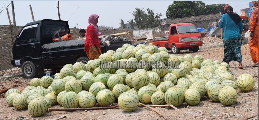 Manfaat Buah Semangka Untuk Kecantikan