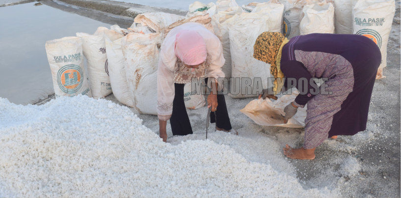 Exposiana: Asinnya Garam, Pahitnya Petani