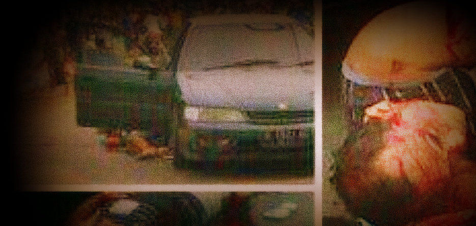 Bupati Sumenep Dilantik, Warga Bangkalan dibantai Bupati Sumenep Dilantik, Warga Bangkalan dibantai