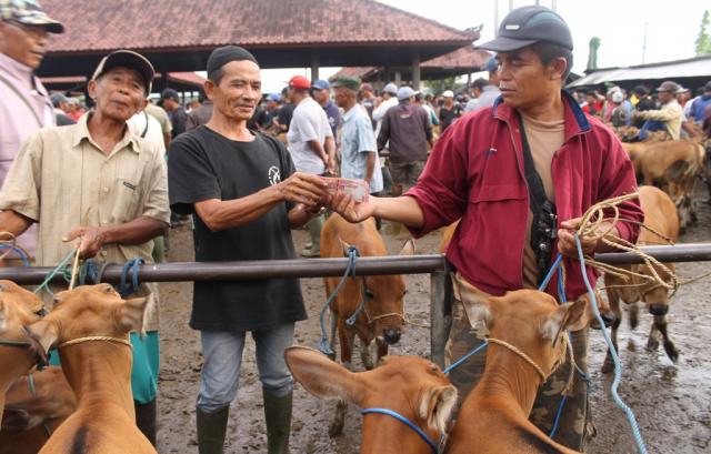 Mulai Besok,Pasar Hewan Bangkal Ditutup!!!