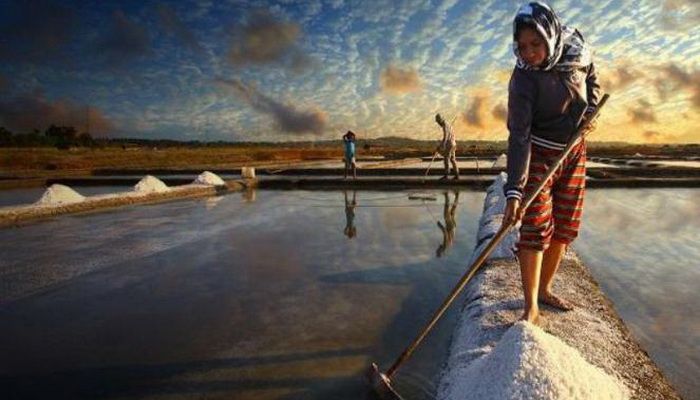 Anomali Cuaca, Petani Garam Alih Profesi Budidaya Ikan