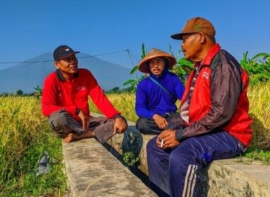 Ngawi Juara Lumbung Pangan: Produksi Gabah Tembus 775 Ribu Ton Berkat Perda Pertanian Ramah Lingkungan