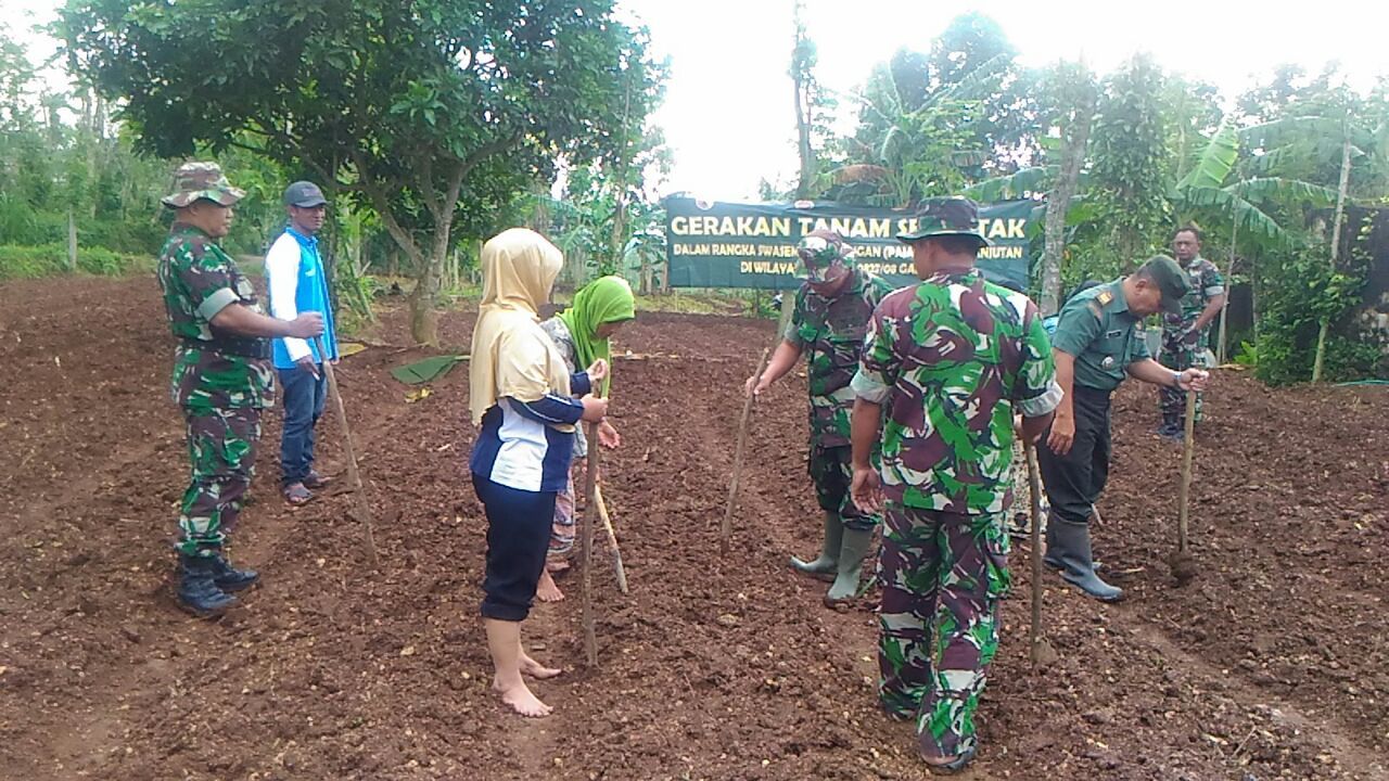 Babinsa Ganding Lakukan Pendampingan Petani Kedelai