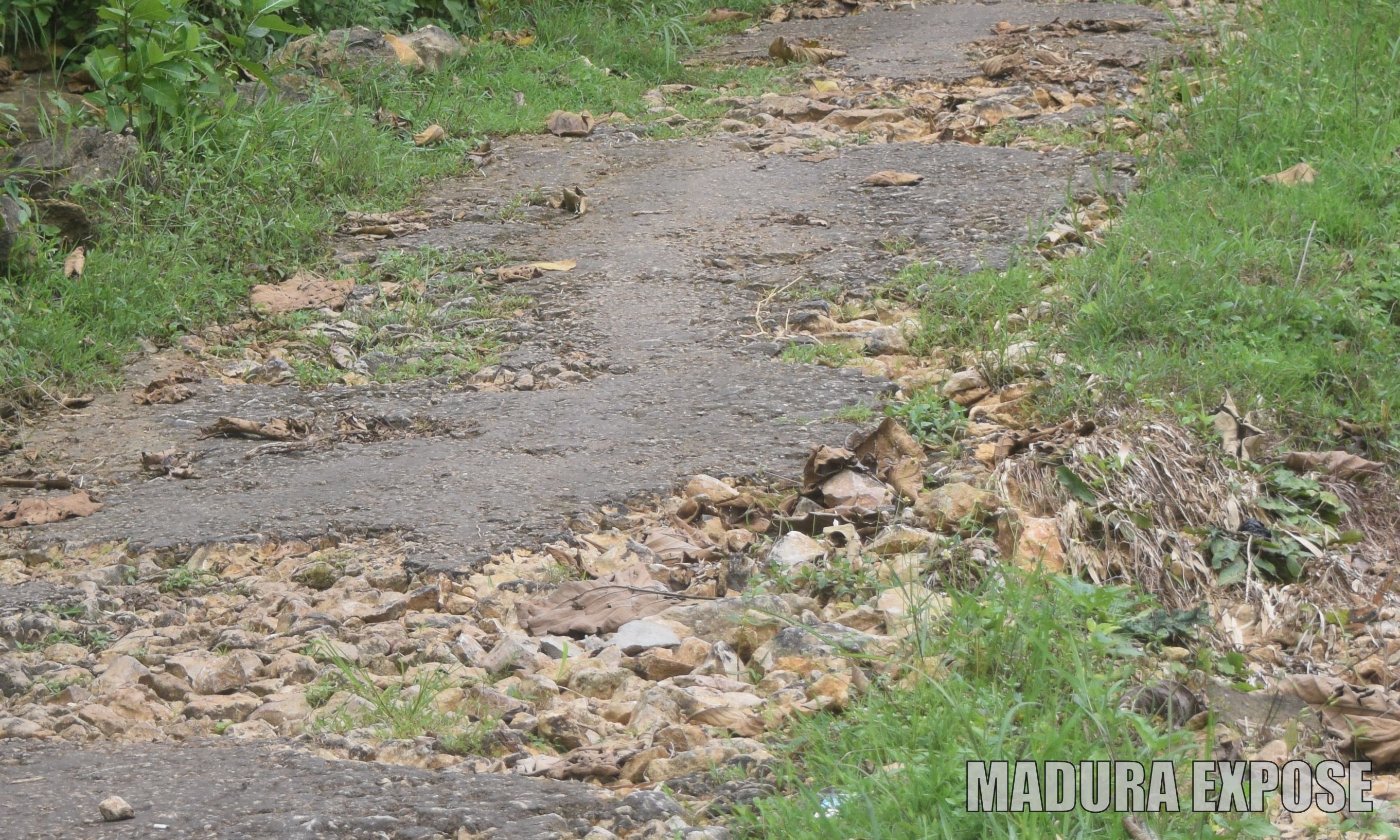 Mayoritas Kondisi Aspal di Pelosok Kecamatan Rubaru dan Pasongsongan Mengelupas
