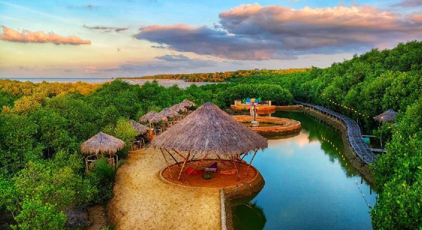 SURGA HIJAU DI UJUNG MADURA: Pesona Magis Wisata Mangrove Kedatim, Lebih dari Sekadar Hutan Bakau!