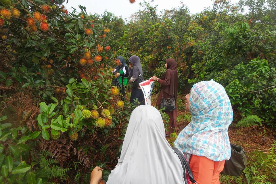 Ini Dia Manfaat Rambutan bagi Kesehatan dan Kecantikan