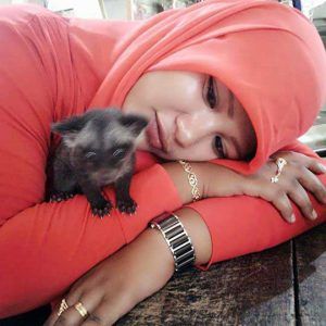 Tren Cewek Madura Suka Elus-elus