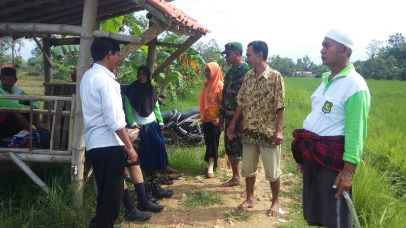 Babinsa Ramil Ambunten Dampingi Petugas Distan dan PPL