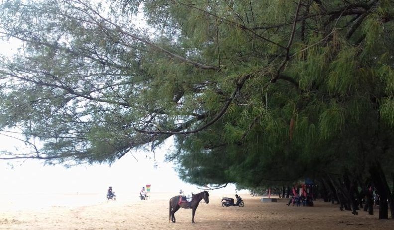 Gak Cuma Bali, Yuk Intip Pantai Lombang Sumenep yang Eksotis!