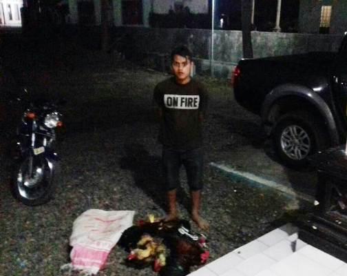Tak Punya Modal Malam Mingguan, Eh Nyolong Ayam
