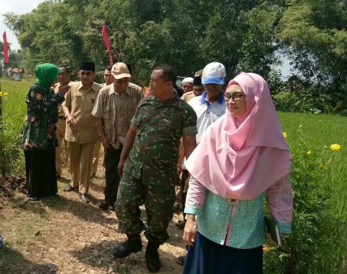Danramil Guluk-Guluk Hadiri Hari Lapang Petani