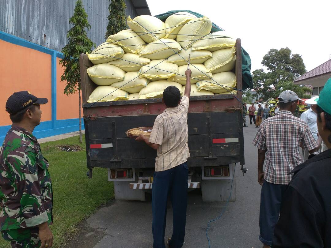 Koramil Rubaru Optimalkan Serapan Gabah Petani ke Bulog