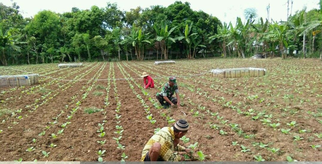 Babinsa Sukarela Pulau Masalembu Gelar Komsos Diwilayah Binaan