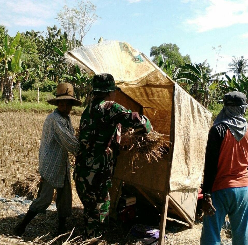 Peran Babinsa Torbeng, Koramil Kota Dikalangan Petani