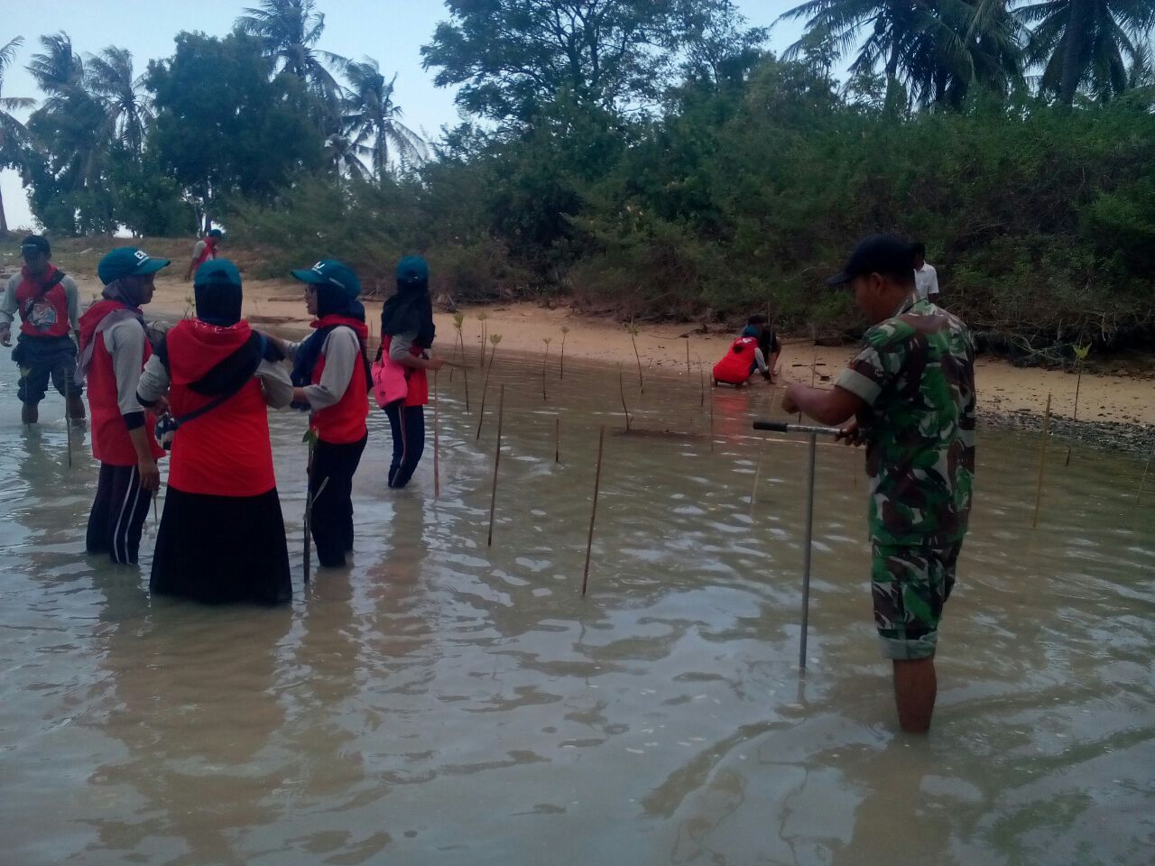 Cegah Abrasi, Koramil Masalembu Tanam Mangrove