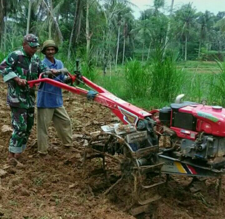 Bantu Petani Wujud Babinsa Rubaru Meningkatkan Ketahanan Pangan