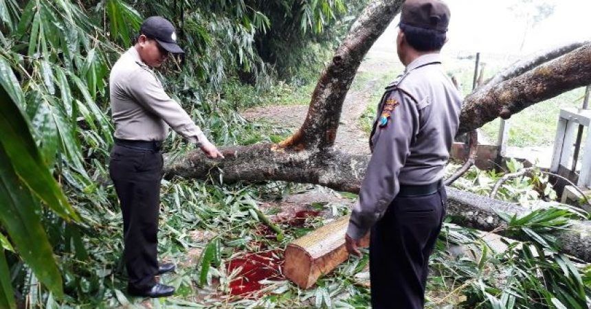 Pengendara Motor Tewas Disapu Puting Beliung