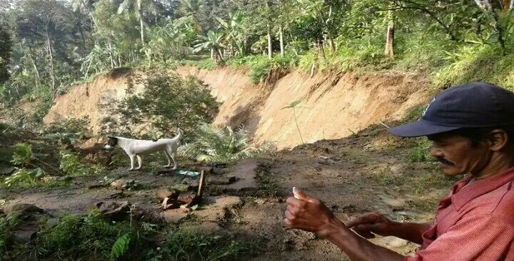 Tanah Ambles di Kulonprogo Mencapai 500 Meter