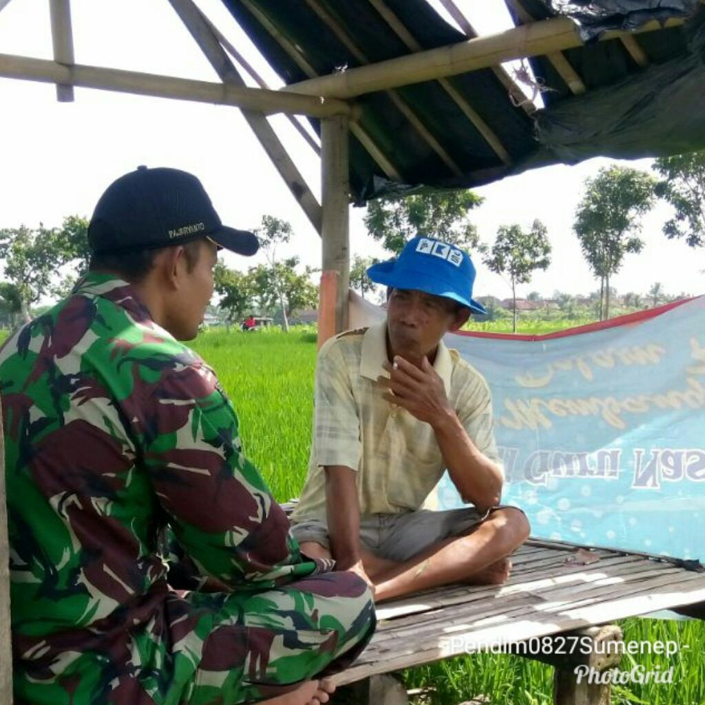 Babinsa Sapeken Bina Petani dengan Metoda Komunikasi Sosial