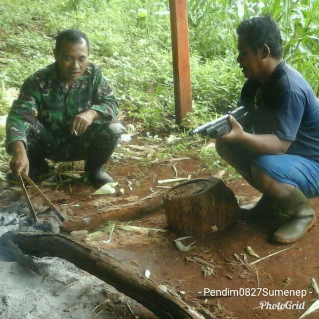 Komsos Serta Monitoring Tanaman Jagung Oleh Babinsa 0827/19 Sapeken