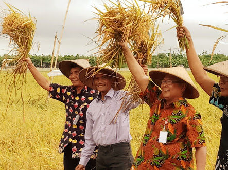Kementan Dorong Perpadi Isi Cadangan Beras Bulog