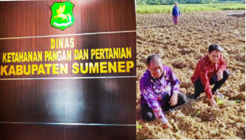 Petani Tembakau Sumenep Ditantang Bertahan di Tengah Anggaran DBHCHT yang Menciut!