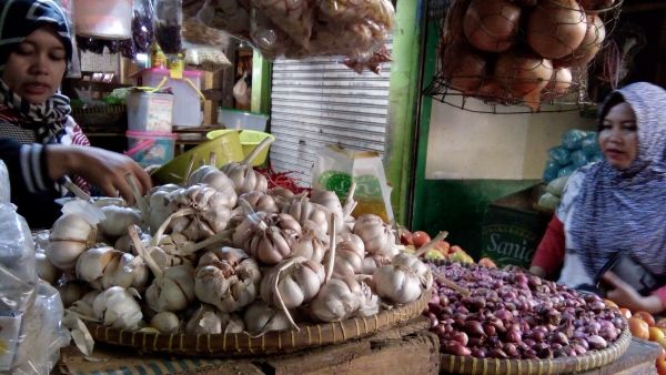 Harga Bawang Putih Naik, Rakyat Menjerit Harga Bawang Putih Naik, Rakyat Menjerit