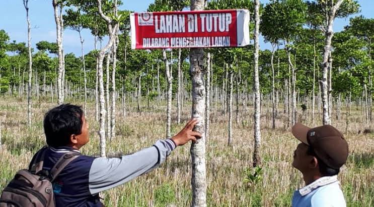 Serobot Lahan Perhutani, Proyek Lingkar Utara Sumenep Dihentikan Paksa Serobot Lahan Perhutani, Proyek Lingkar Utara Sumenep Dihentikan Paksa