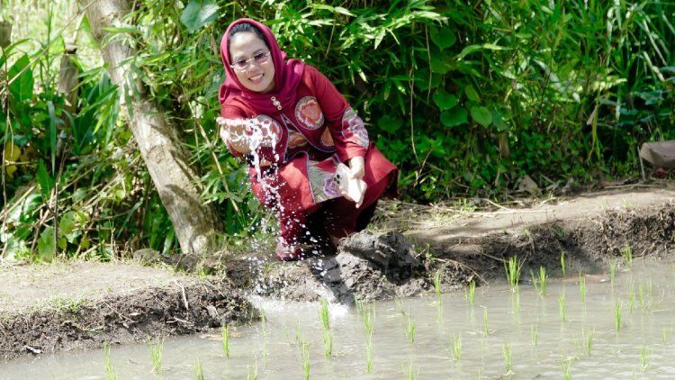 Dapur Nia: Resep Kedaulatan Pangan, Memasak Masa Depan Bersama Petani dan Generasi Muda