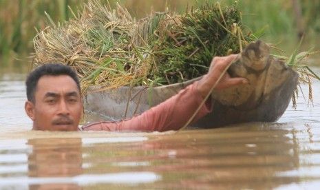 ADB: 22 Juta Penduduk RI Kelaparan
