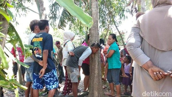 Warga Sesaki Lokasi Pohon Keluarkan Suara Perempuan Menangis di Jember Warga Sesaki Lokasi Pohon Keluarkan Suara Perempuan Menangis di Jember