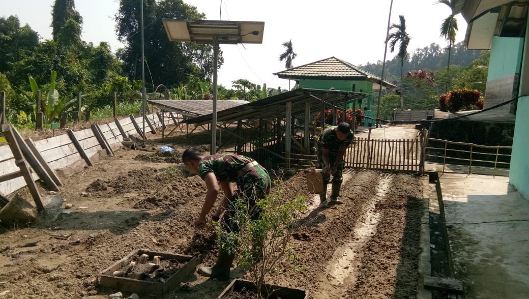 Satgas Pamtas Ri-Png Yonif Raider 100/Ps Manfaatkan Lahan Kosong
