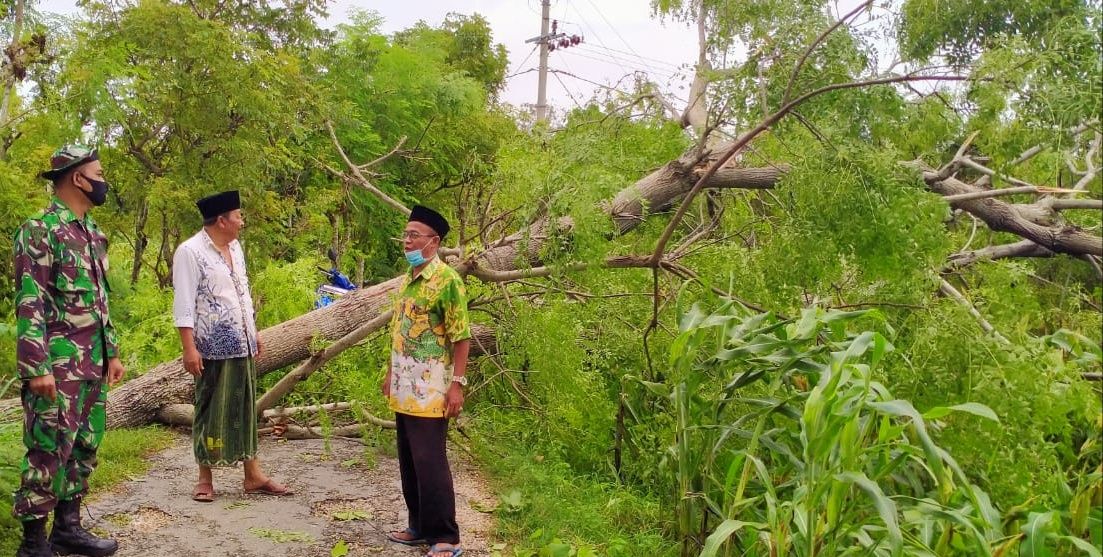Marak Pohon Tumbang, Babinsa Koramil Bluto Gotong Royong Bersihkan Ranting pohon di Jalan Desa Palongan