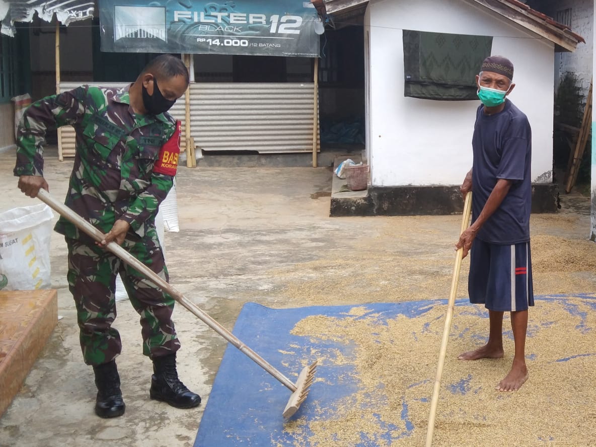 Sersan Dua Sumarlan Anggota Koramil 0827/16 Bantu Warga Jemur Padi