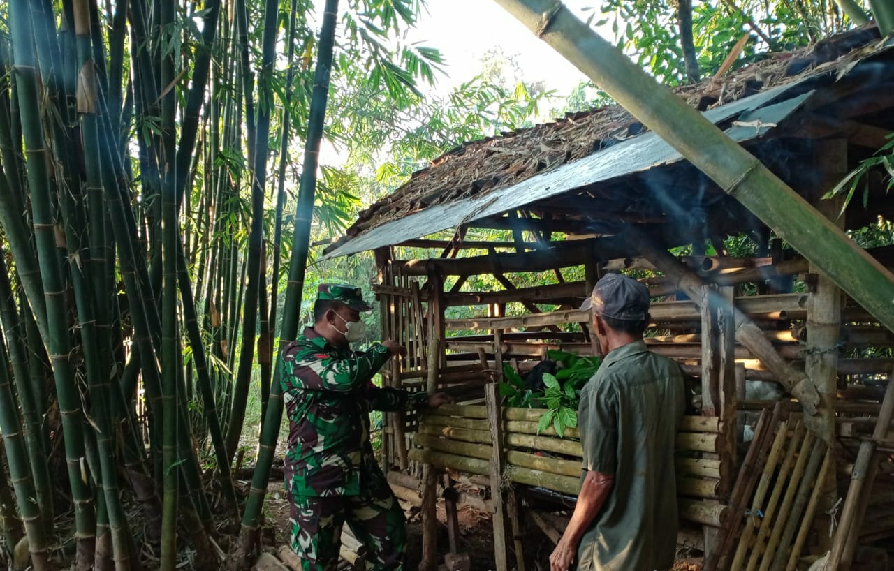 Jalin Komsos Dengan Bantu Edukasi Pakan Ternak dan Kebersihan Kandang