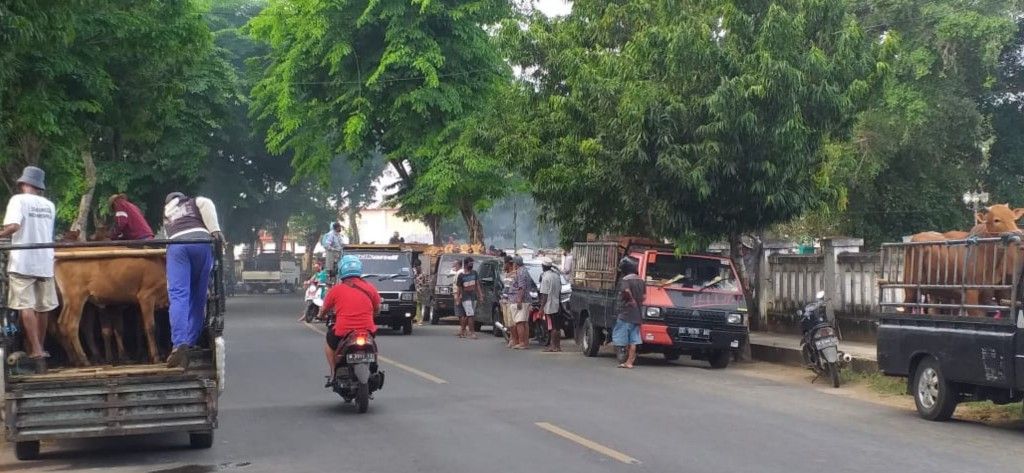 Penutupan Pasar Hewan di Sumenep Makin Ketat!
