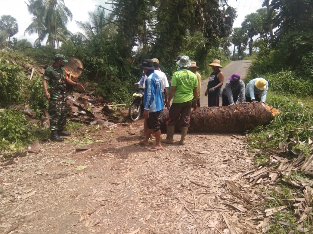 Babinsa Rubaru Sumenep Karya Bhakti Pemotongan dan Pemindahan Kayu Tumbang Dijalan Raya Babinsa Rubaru Sumenep Karya Bhakti Pemotongan dan Pemindahan Kayu Tumbang Dijalan Raya