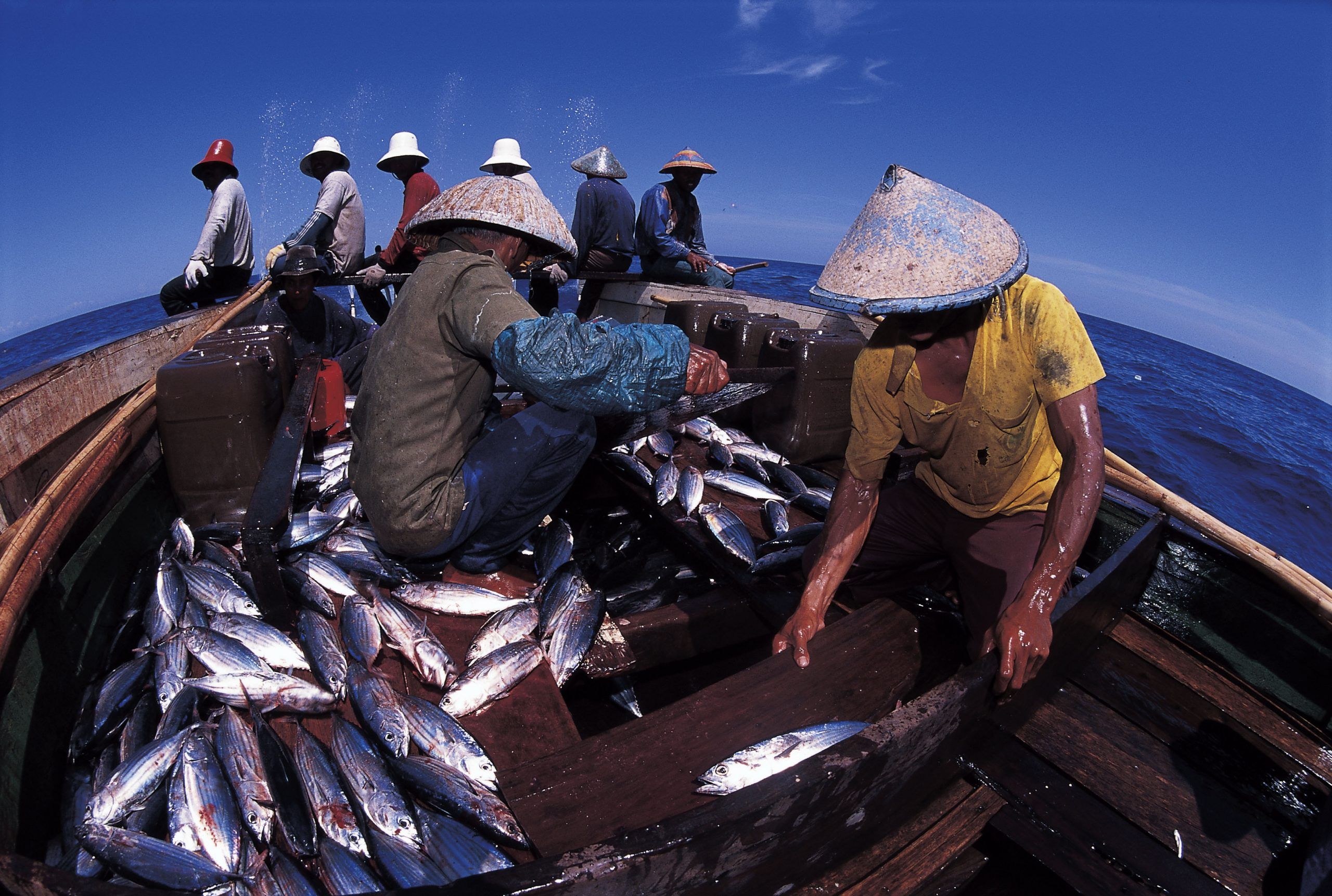 Di Sumenep, 105 Modul Rumah Ikan Siap Ditenggelamkan