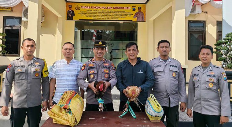 Polsek Sokobanah Gerebek Arena Judi Sabung Ayam, Pelaku Berhasil Kabur