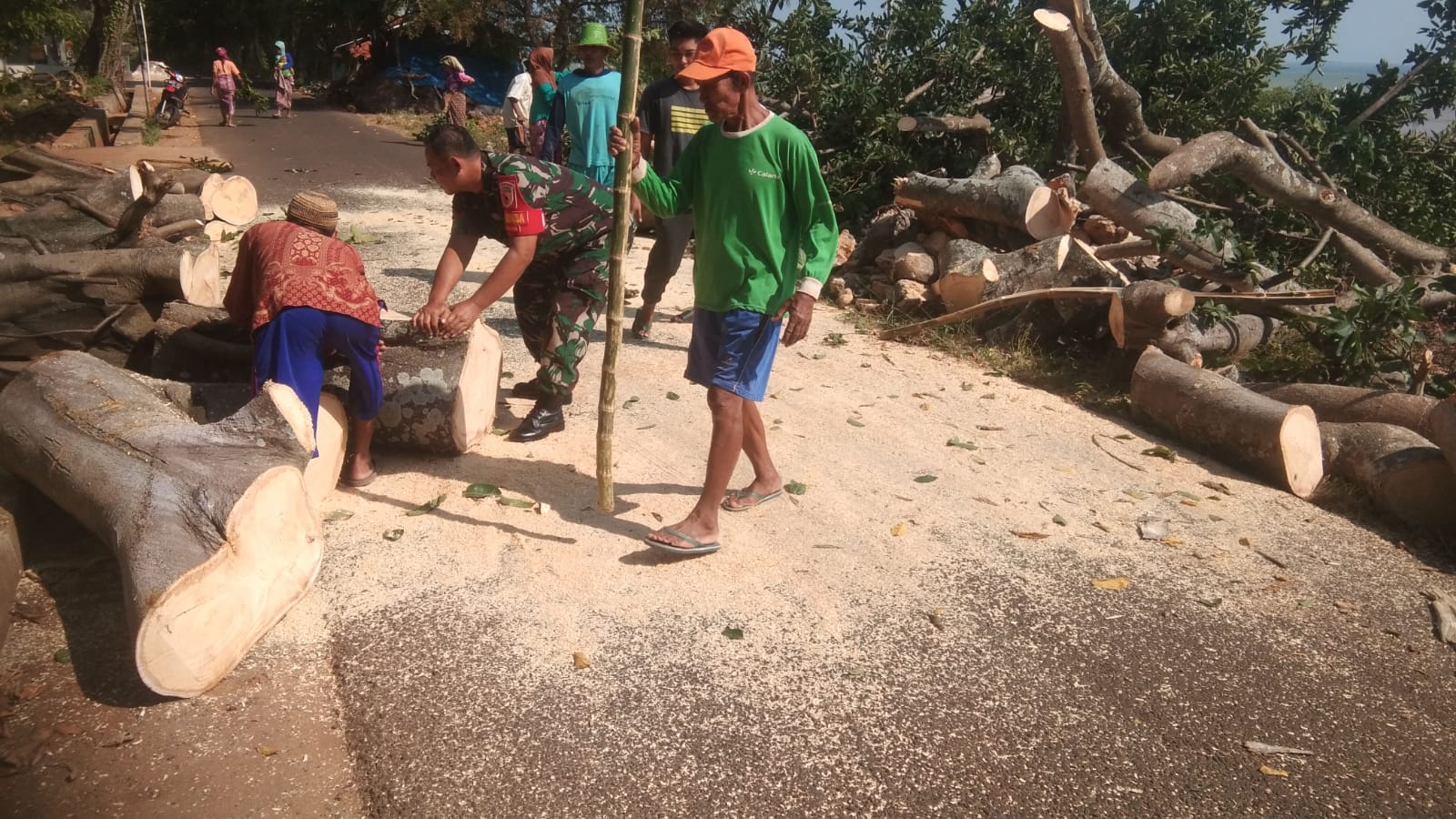 Pohon Tumbang Hambat Lalu Lintas Jalan, Babinsa Bersama Warga Lakukan Pembersihan Pohon Tumbang Hambat Lalu Lintas Jalan, Babinsa Bersama Warga Lakukan Pembersihan