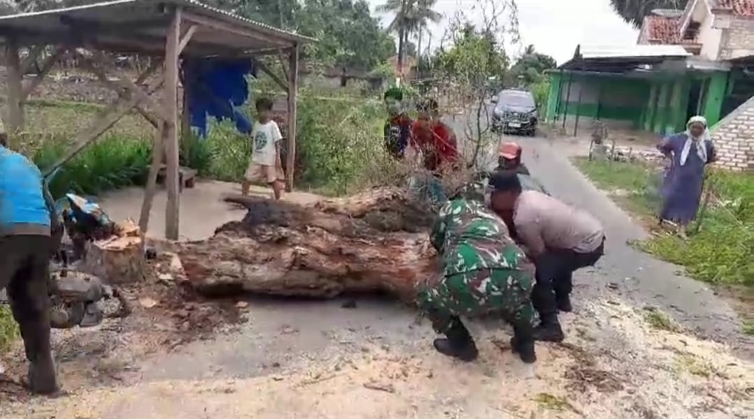 Babinsa dan Warga Bergerak Cepat Gotong Royong Atasi Pohon Tumbang Babinsa dan Warga Bergerak Cepat Gotong Royong Atasi Pohon Tumbang