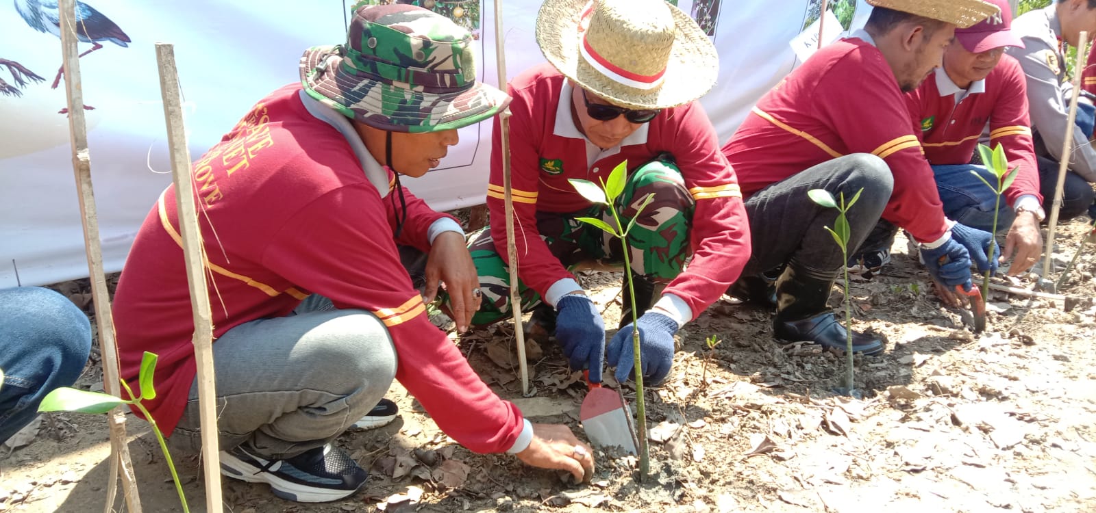 Cegah Ancaman Abrasi, Kasdim Sumenep Hadiri Launching Penanaman Mangrove Cegah Ancaman Abrasi, Kasdim Sumenep Hadiri Launching Penanaman Mangrove