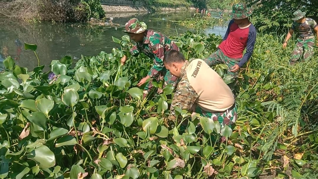 Cegah Banjir, TNI bersama Instansi Terkait dan Ratusan Masyakarat Bersihkan Sungai Cegah Banjir, TNI bersama Instansi Terkait dan Ratusan Masyakarat Bersihkan Sungai