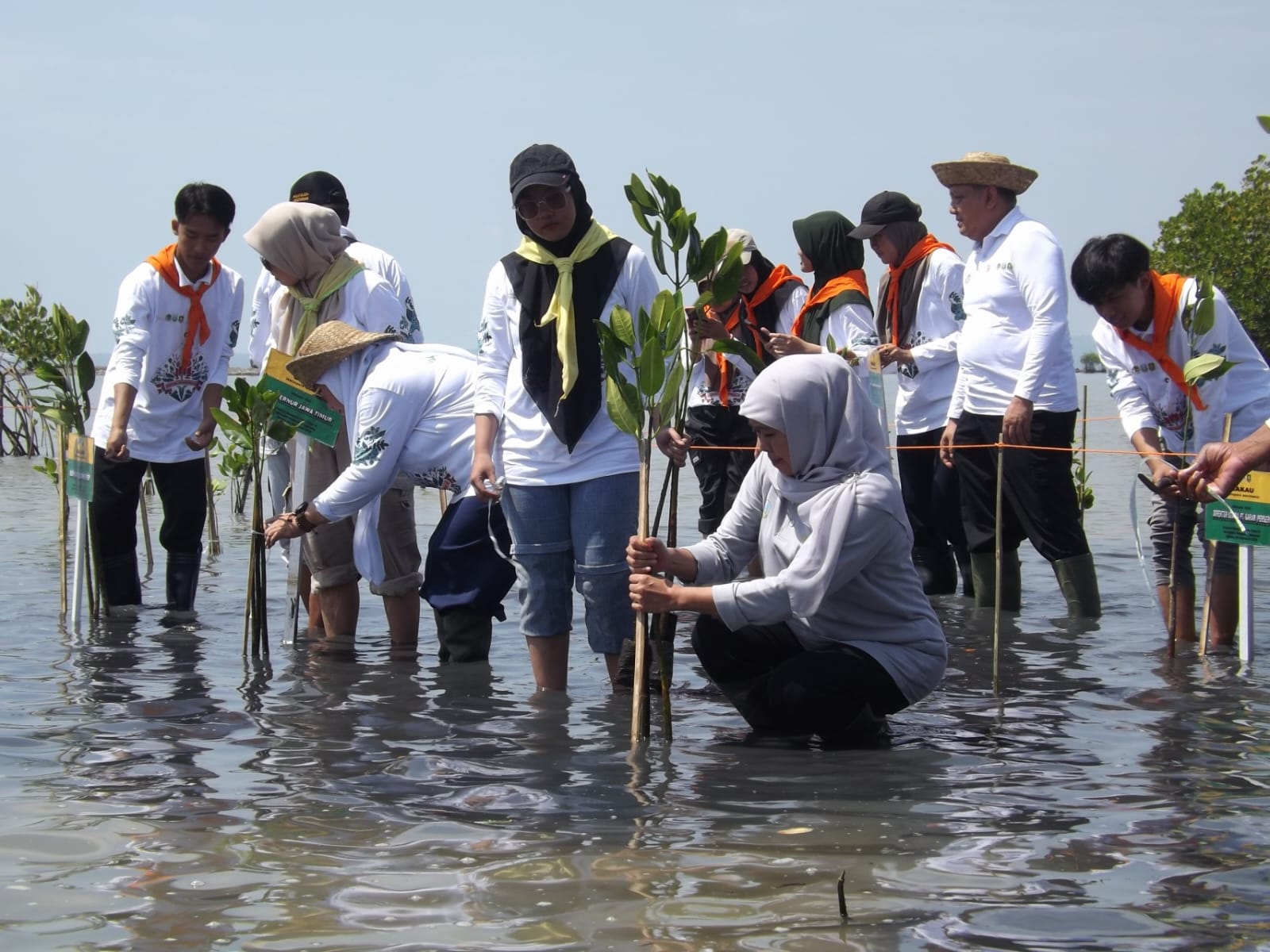 Gubernur Khofifah Hadiri Festival Mangrove di Taman Merdeka Sumenep