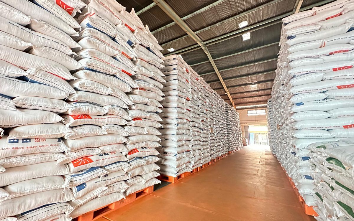 El Nino Ganggu Jadwal Panen, Badan Pangan: Defisit Produksi Beras Capai 2,8 Juta Ton